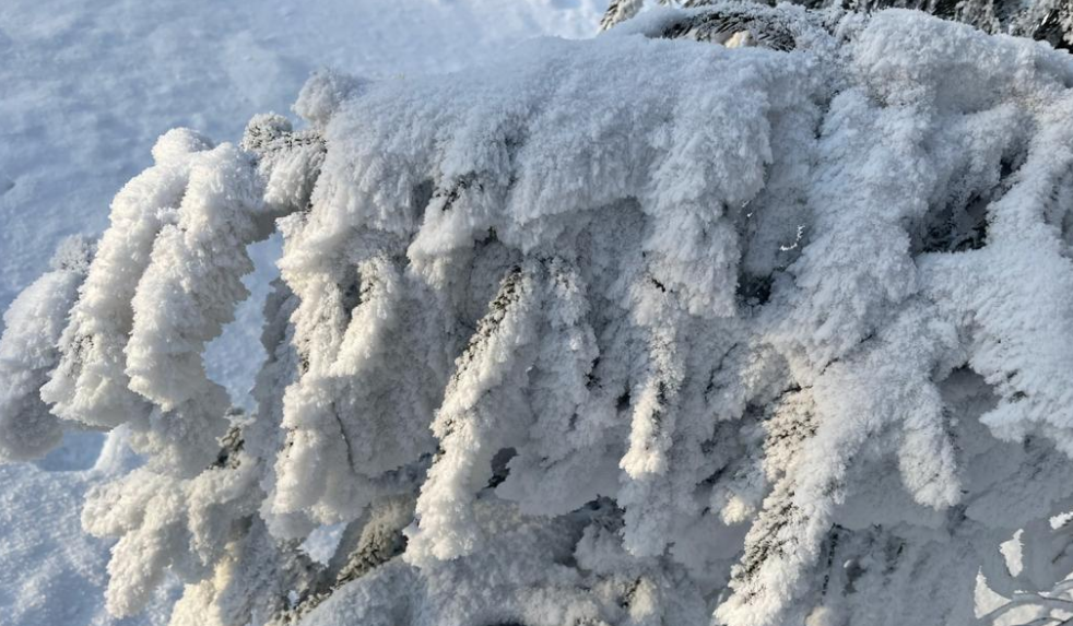 - 43 и ниже: спасатели и мэрия просят омичей соблюдать осторожность в связи с аномальным похолоданием