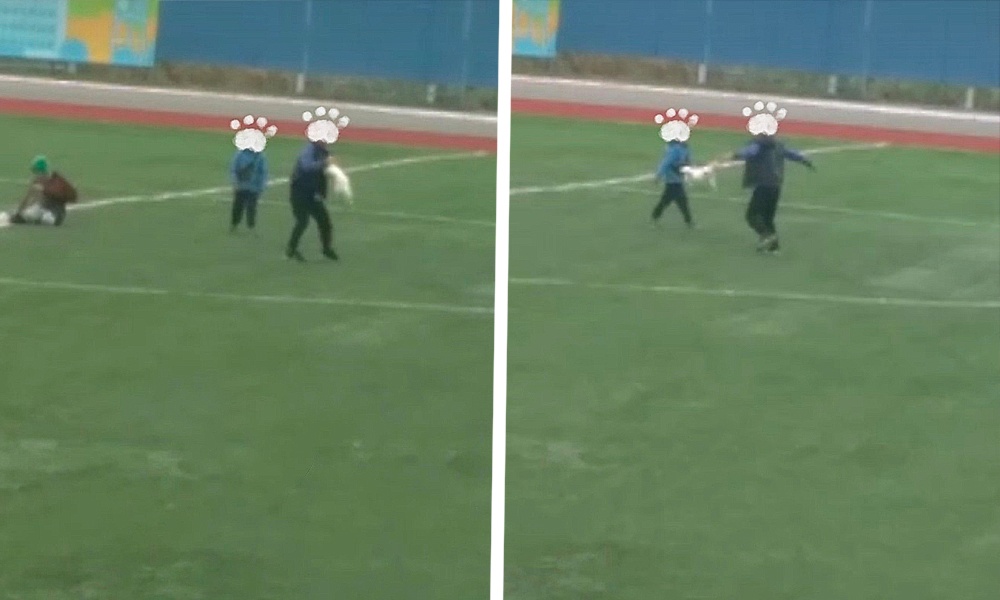 В Омской области женщина пожаловалась на детей, которые издевались над котом 