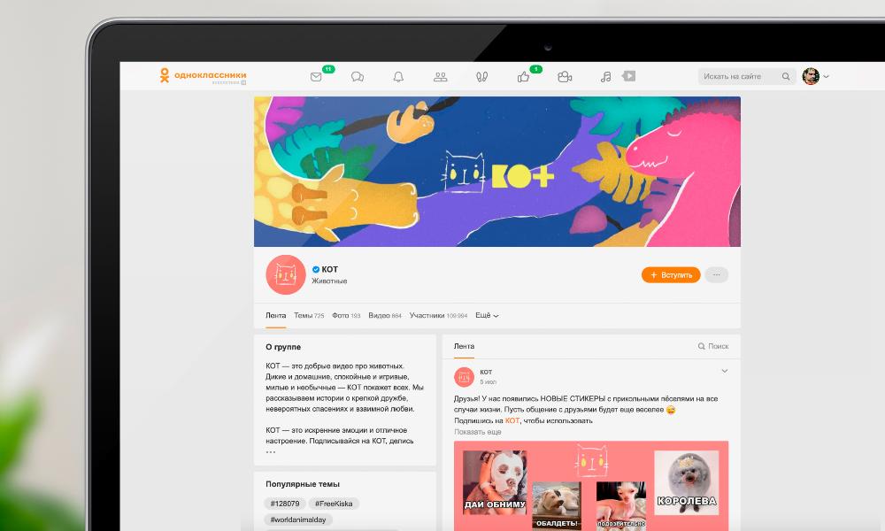 «Одноклассники» и проект «КОТ» запускают мини-сериал о зооволонтёрах