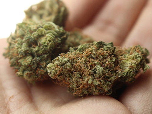 Пойманного с наркотиками омского таксиста ждёт суд