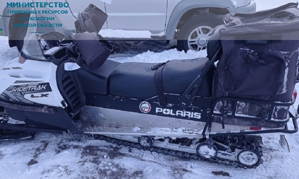 Омичи незаконно убили двух косуль