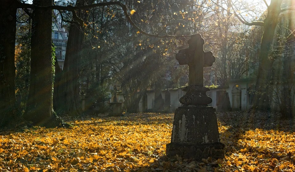 Омские кладбища обрабатывают от клещей