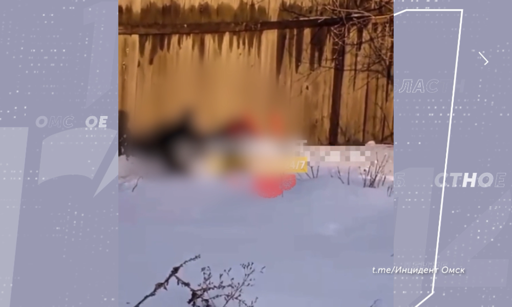 В Омской области разыскивают живодёров, которые натравили собаку на косулю