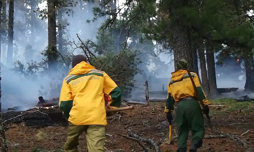 В Тарском районе на труднодоступной территории Васисского лесничества бушует пожар