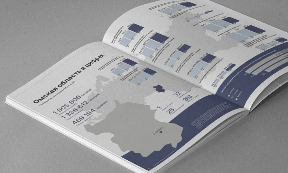 Омский минфин опубликовал брошюру об исполнении регионального бюджета в 2024 году 