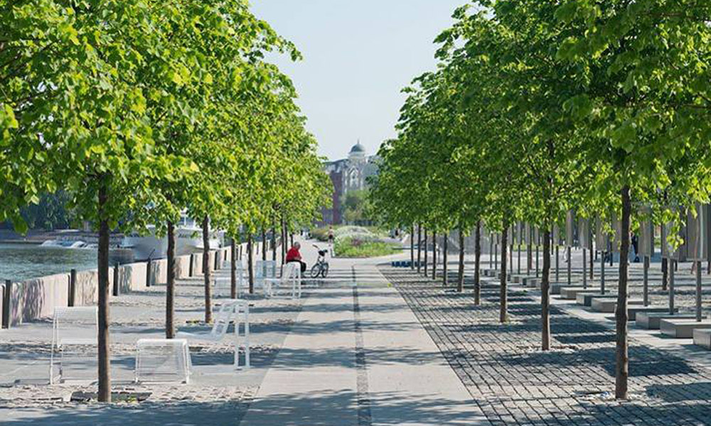 В Ленинском округе Омска организуют новое место для отдыха