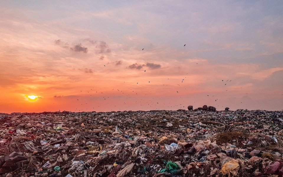 В 2021 году "Магнит" частично уйдёт с двух мусорных полигонов в Омске 