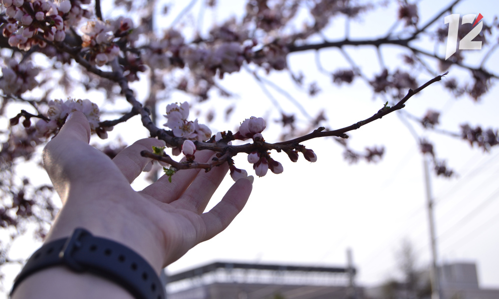 Гидрометцентр РФ: в июне в Омской области температура воздуха ожидается выше нормы 