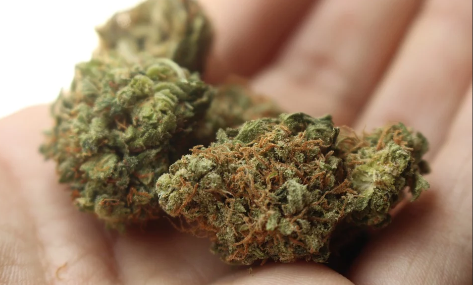 Омича задержали за хранение наркотиков в крупном размере