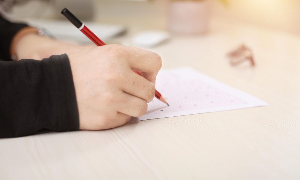 12 омских школьников набрали 100 баллов на ЕГЭ по географии, химии и литературе