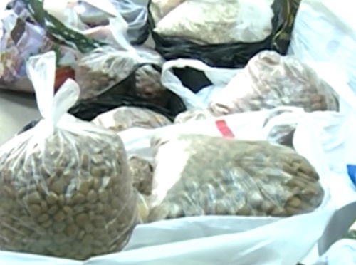 Омичи собрали 100 кг корма для бродячих собак