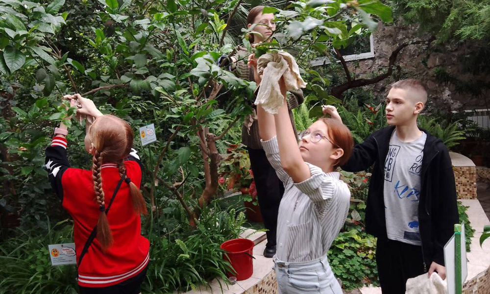 Омская команда стала победителем ДЭФ-2024 с проектом озеленения