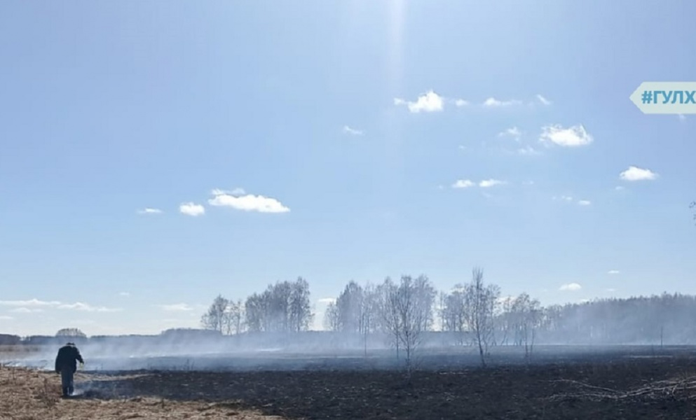 В Омской области поймали первого нарушителя особого противопожарного режима: он поджёг траву