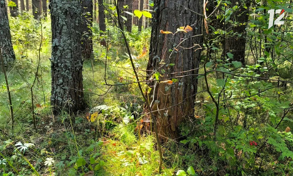 экошкола15.jpg экошкола15.jpg