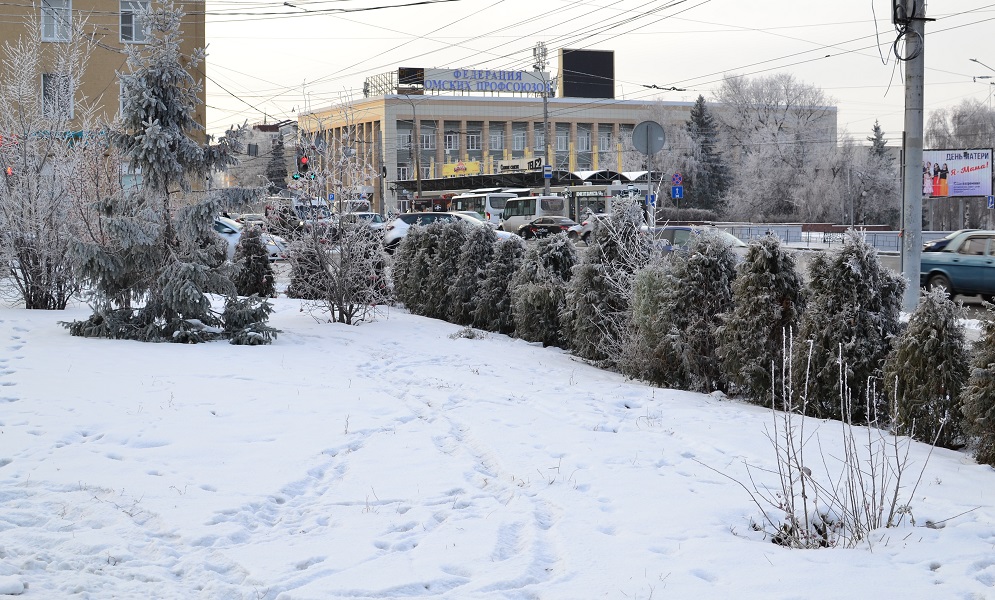 CSC_0497.JPG