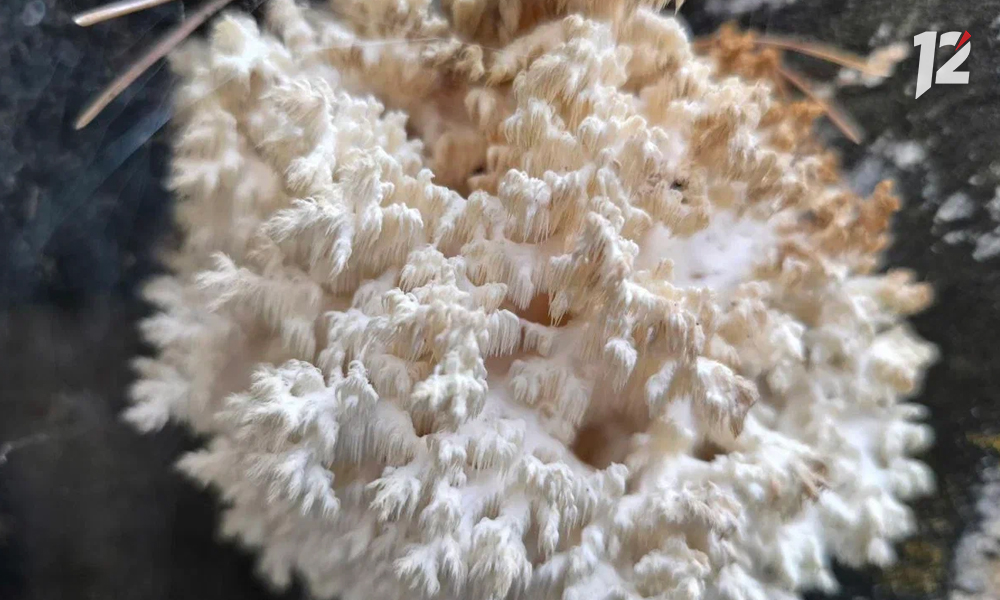 экошкола5.jpg экошкола5.jpg