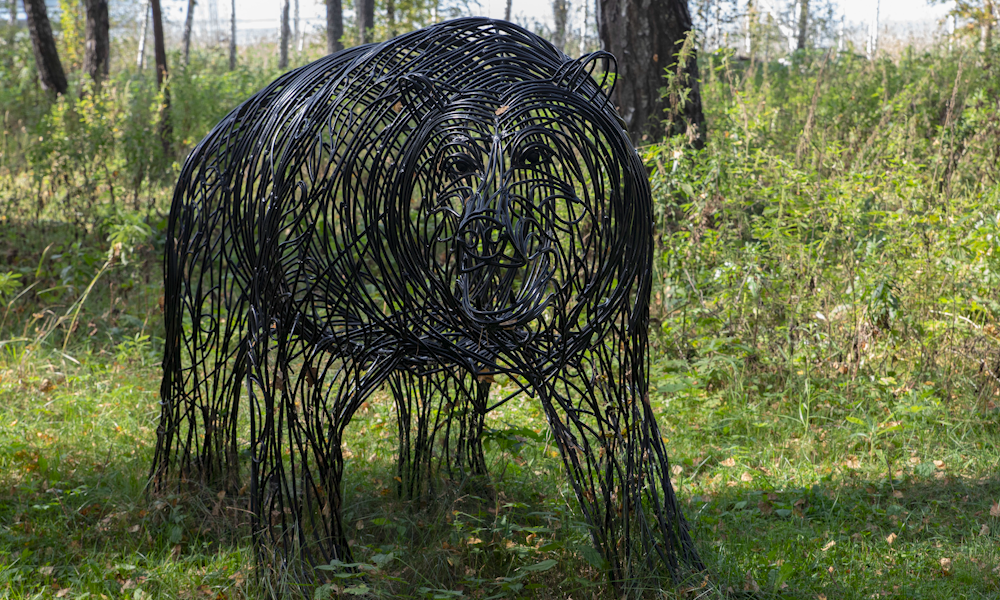 экошкола8.png экошкола8.png