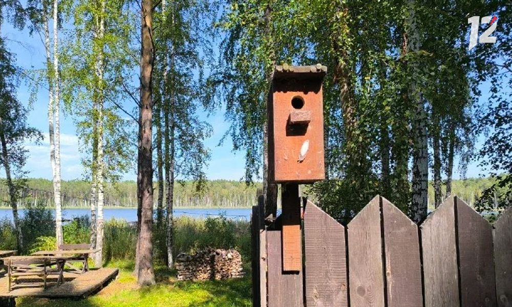 экошкола9.jpg экошкола9.jpg