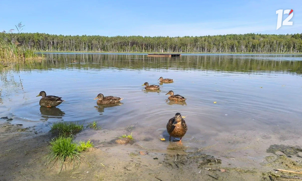 экошкола13.jpg экошкола13.jpg