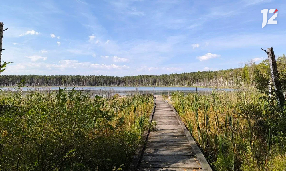 экошкола7.jpg экошкола7.jpg