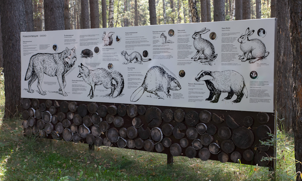 экошкола12.png экошкола12.png