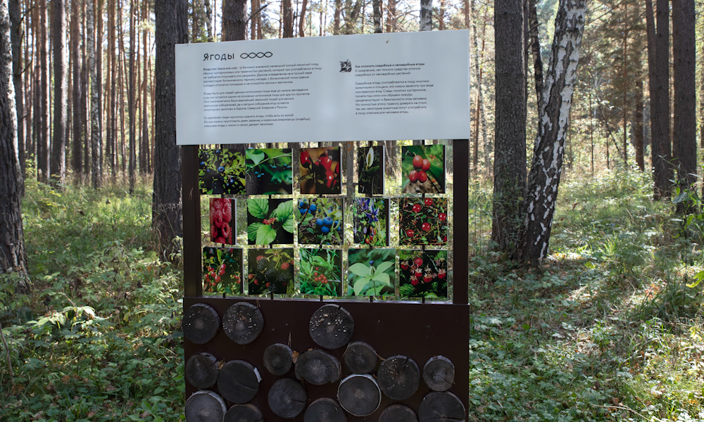 экошкола14.png экошкола14.png