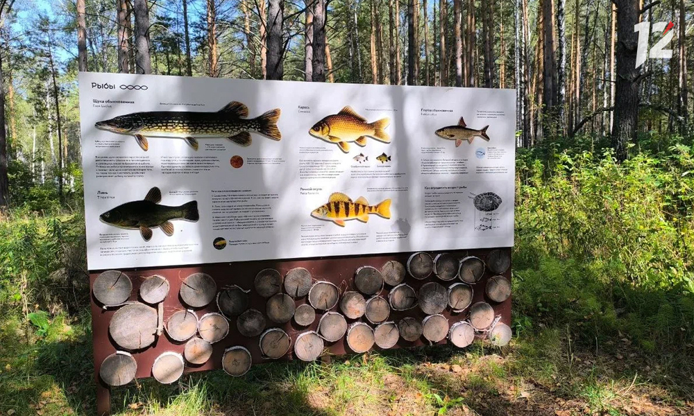 экошкола11.jpg экошкола11.jpg