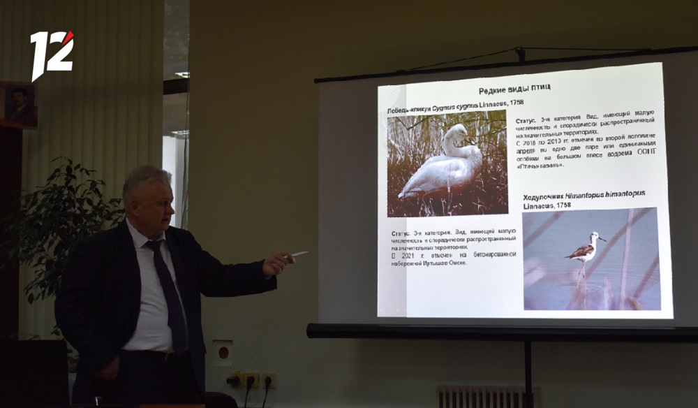 Каких редких птиц можно увидеть в Омске и как на пернатых влияют люди, рассказал орнитолог Сергей Соловьёв