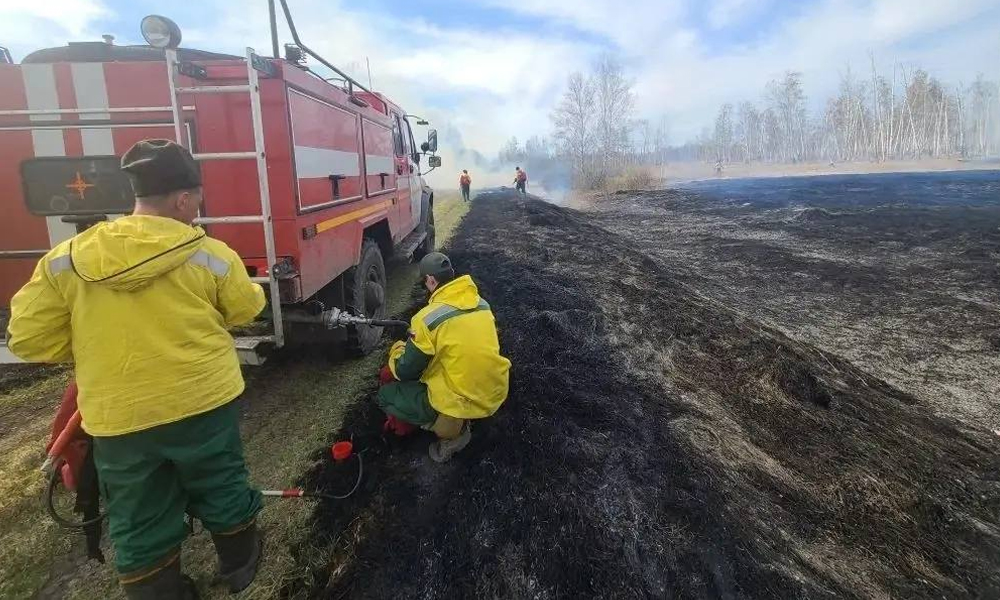 В Омской области продлили запрет на посещение лесов