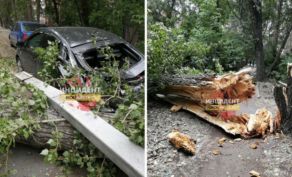 В Омске из-за сильного ветра на автомобиль упало дерево 