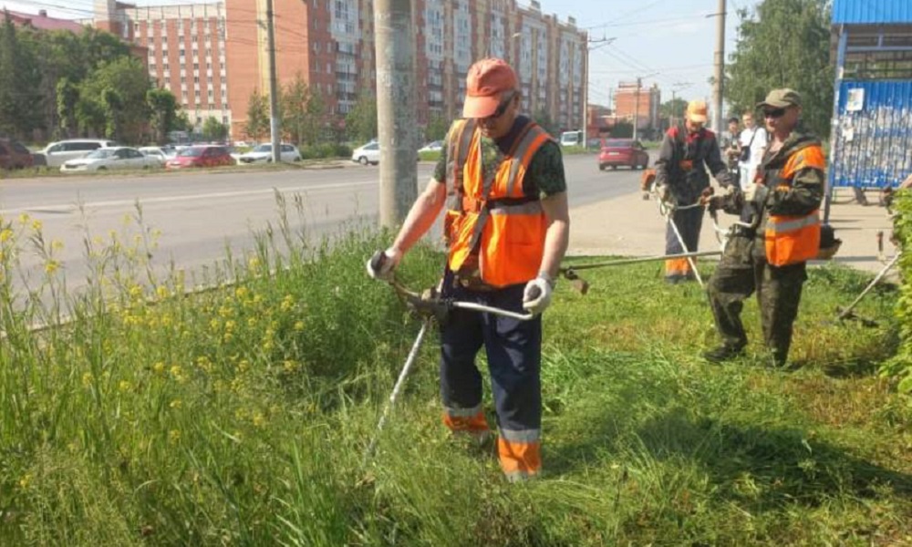В Омске с начала сезона привели в порядок 277 гектаров газонов
