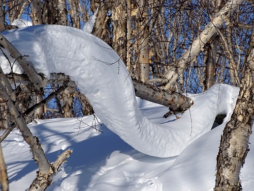 Убегающий от полицейских омич застрял в снегу