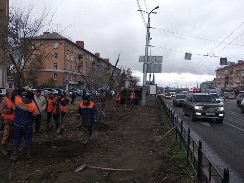 На Ленинградской площади Омска высадили новые деревья и кустарники