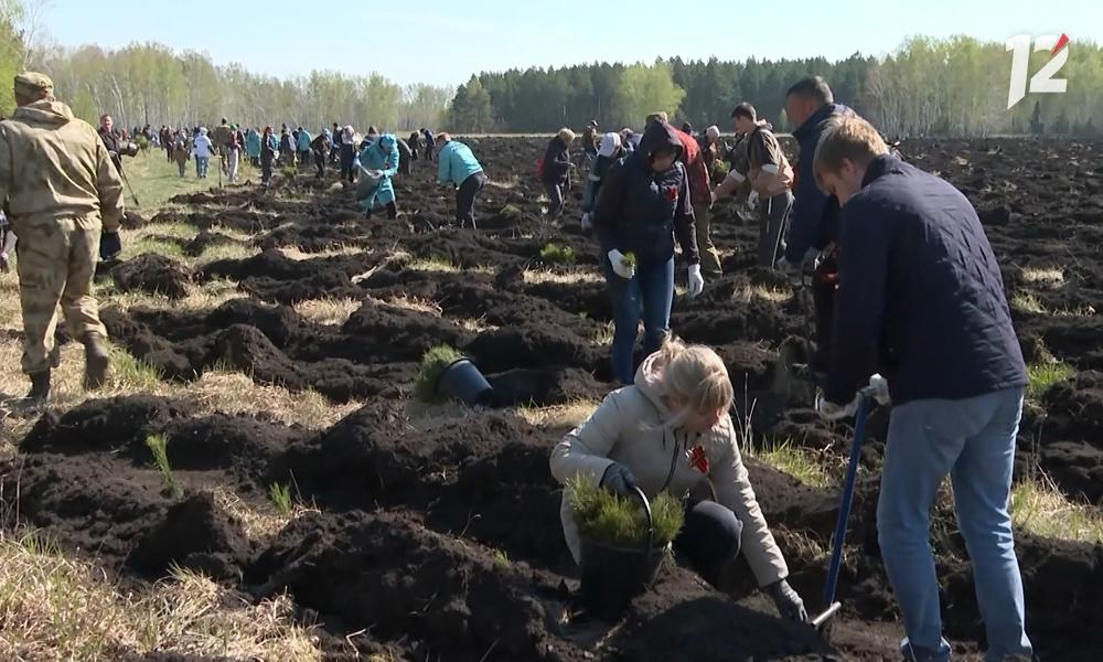 Участниками акции «Сад памяти» стали 900 жителей Омской области