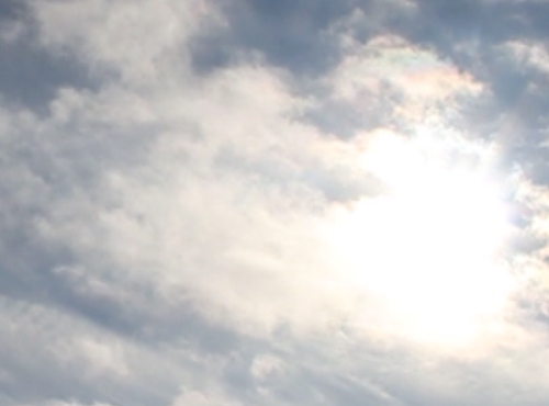 В Омской области на этой неделе синоптики обещают привычную для августа погоду