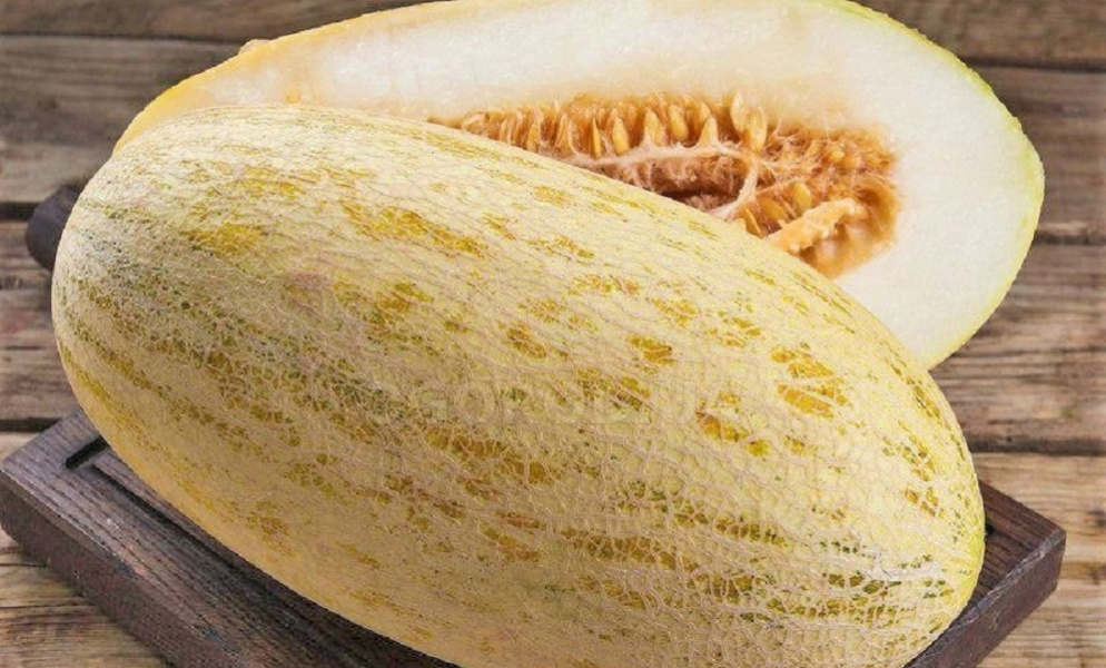 В Омске в дынях сорта «Торпеда» обнаружили нитраты