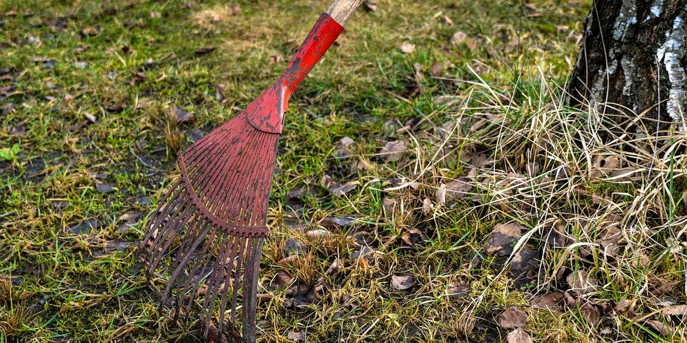 Для омских подростков летний трудовой сезон начнется с середины июня