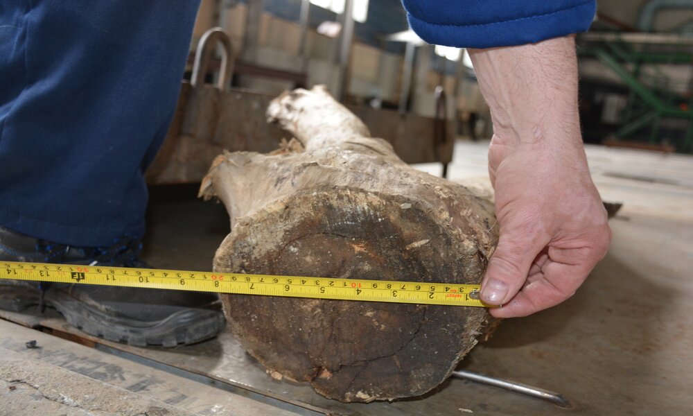 Омскую канализацию атаковало двухметровое бревно 