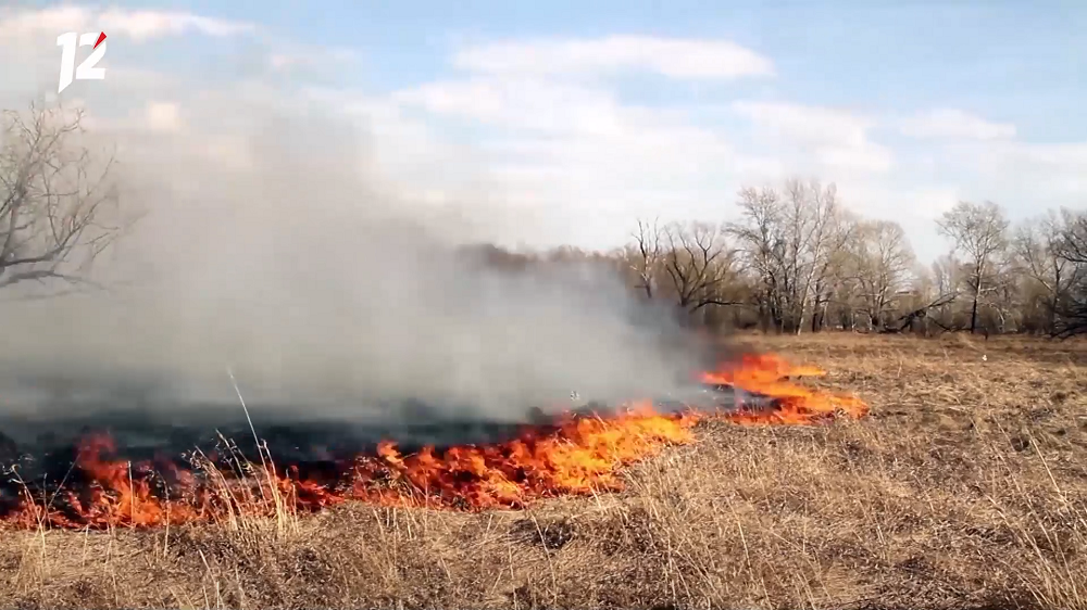 Оксана Фадина распорядилась выделить 687 тысяч рублей на противопожарную опашку Омска