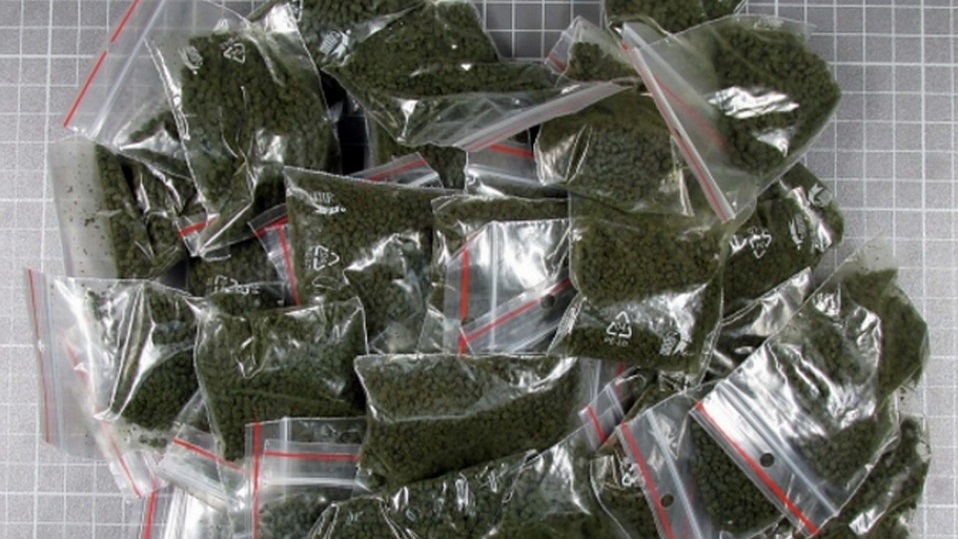 Омские таможенники нашли 29 кг насвая в грузовике с фруктами