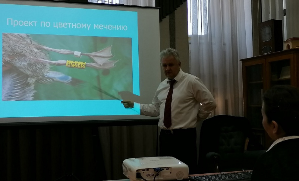 Почему кудрявые пеликаны возвращаются в Омскую область и когда нам ждать розовых фламинго?