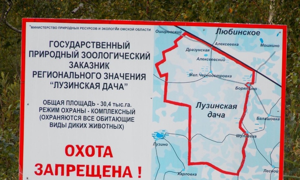 Волонтёры со всей России соберутся на «Лузинской даче»