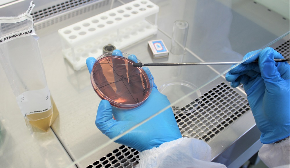 В Омске в красной икре обнаружили кишечную палочку