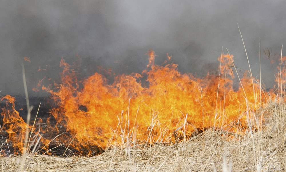 В Омской области прогнозируют чрезвычайную пожарную опасность 