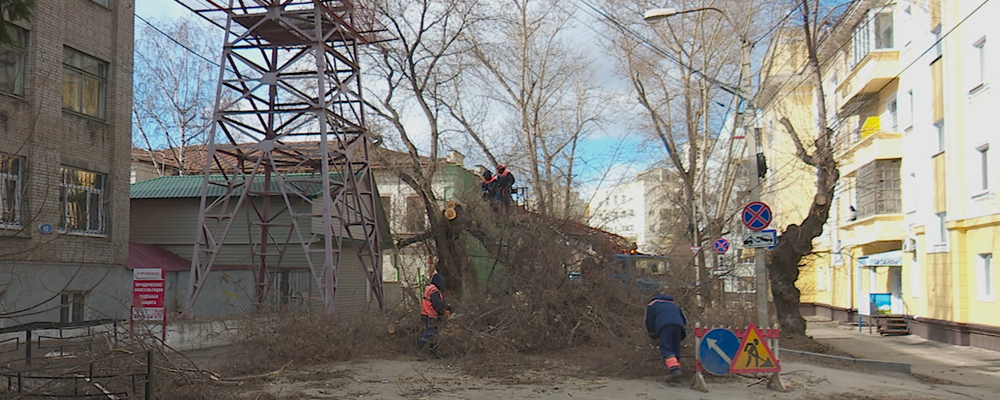 Более 1200 жилых домов Омска подключили к электричеству 