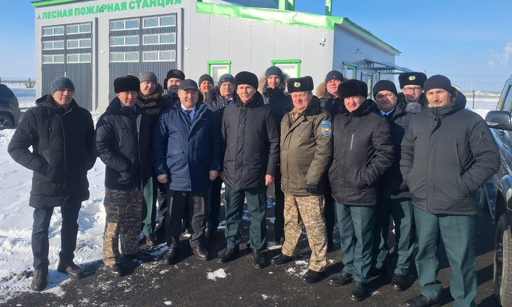 Лесоводы Омской области и Казахстана договорились о совместной борьбе с пожарами