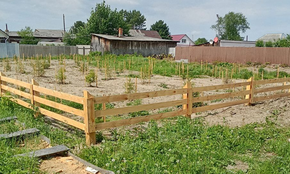 В Омской области обеспечивают уход за Садами памяти