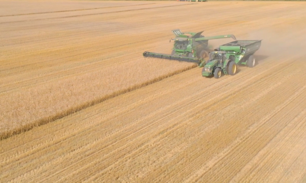 За год поставки омской агропродукции в Китай выросли в два раза 