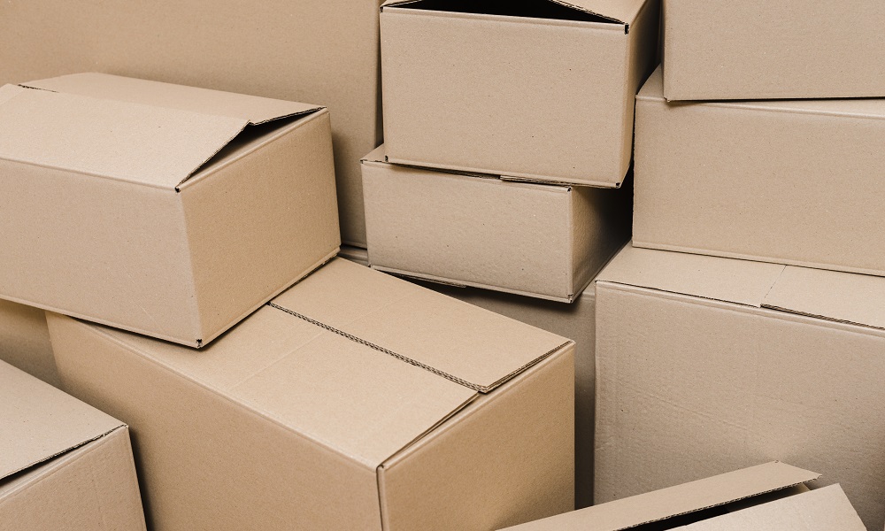 Из Омска в Павлодар пытались вывезти 200 кг кошачьего корма 