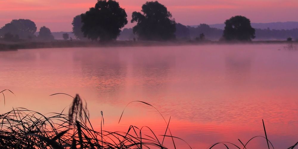 Красный цвет омского озера в посёлке Магистральный оказался естественным